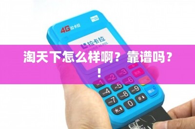 淘天下移動支付設備評測 靠譜與便利并存，但需謹慎選擇