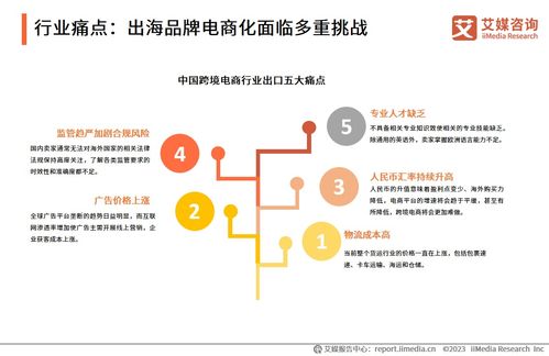 2023年中國品牌電商服務(wù)行業(yè)深度洞察 信息咨詢服務(wù)賦能品牌新增長